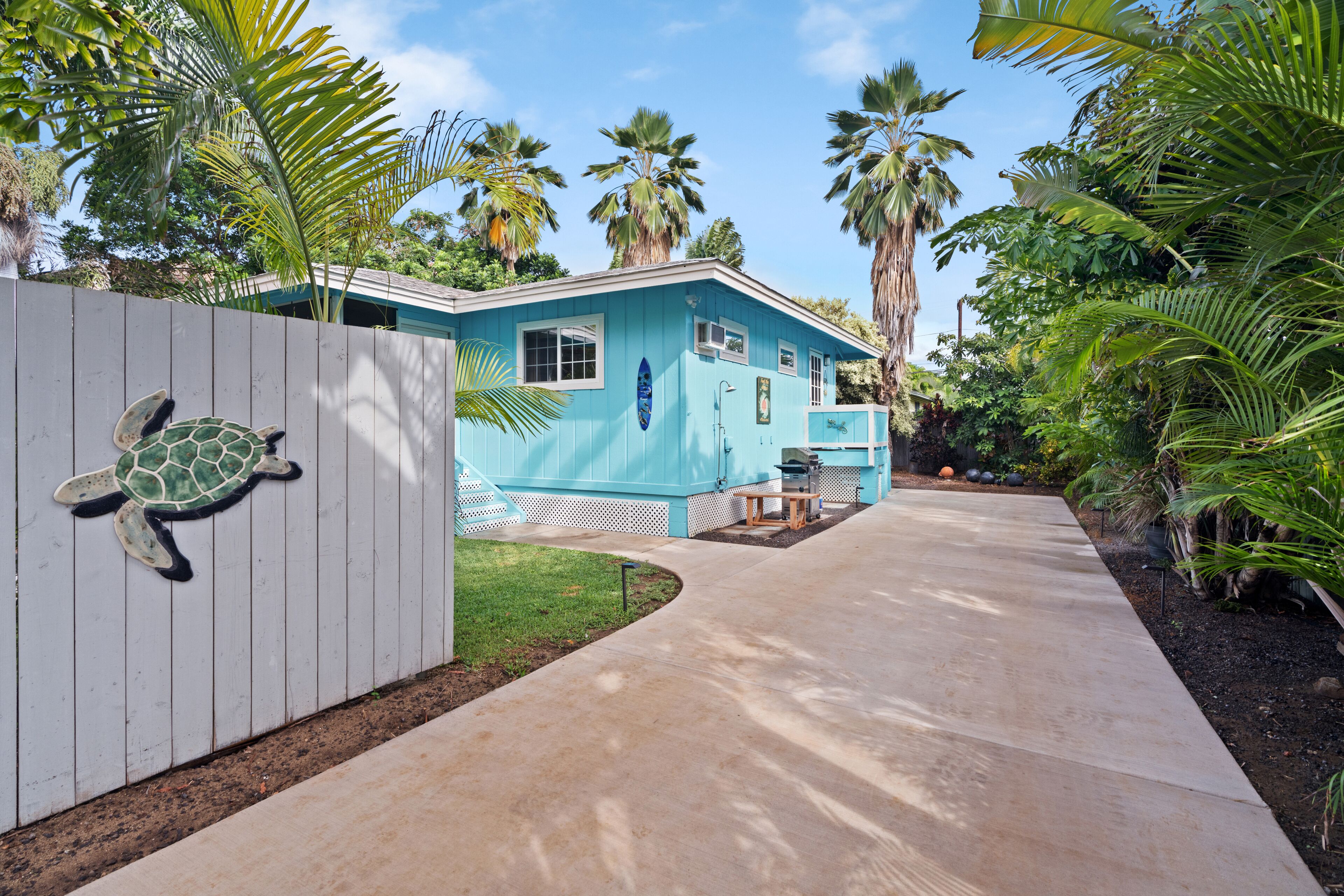 A blue house with a turtle mural on the fence, a concrete pathway, and palm trees in the background.