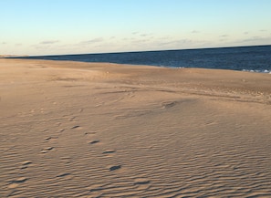 Plage à proximité, chaises longues