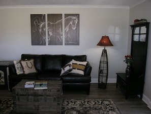 TV, fireplace, DVD player, printers