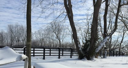 Clase World Horse Farm Minutes To Keeneland, Bluegrass aeropuerto, Bourbon Trail