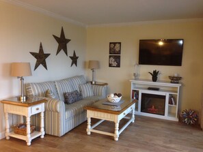 تلفزيون ذكي، مدفأة، مشغل دي في دي، كُتُب