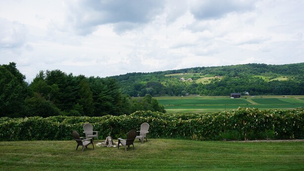Ein Weinberg mit Rebenreihen, einer Wiese und einigen Adirondack-Stühlen.