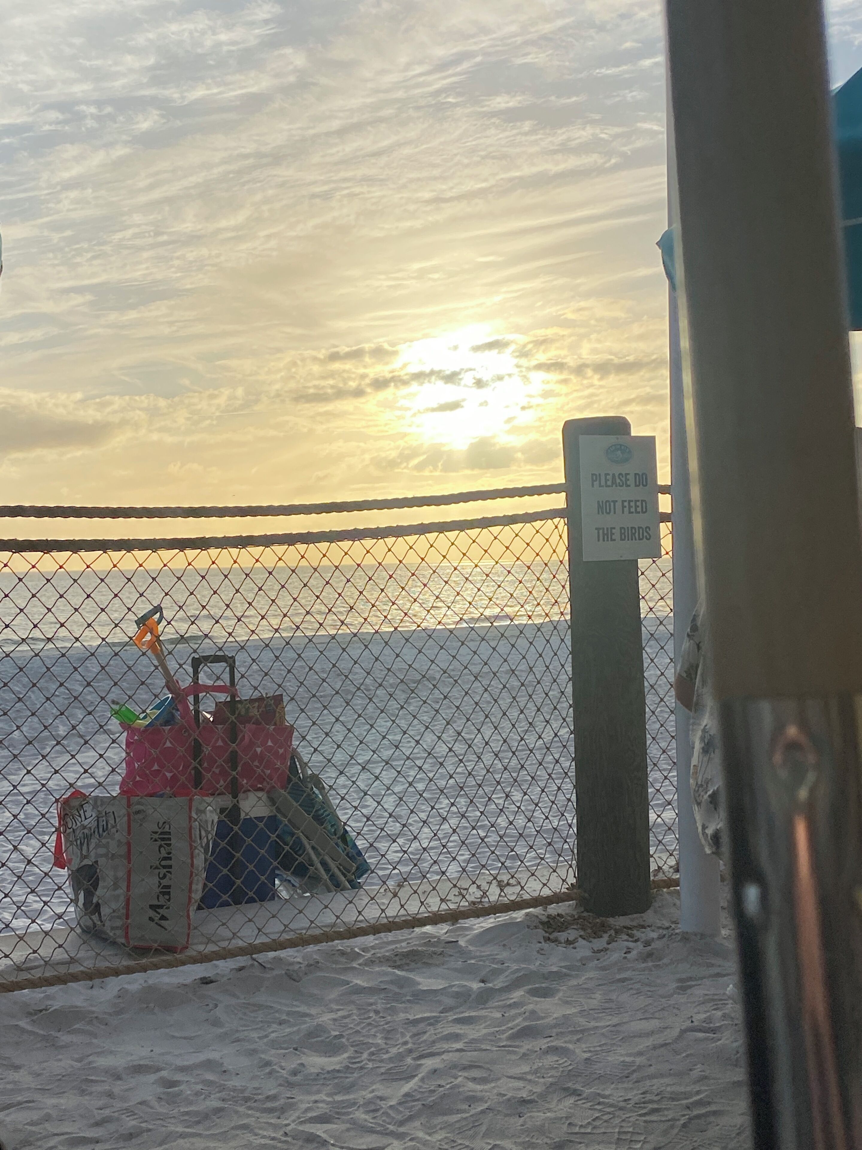 A chain-link fence with a sign that reads "PLEASE DO NOT FEED THE BIRDS" and a cart with a red bag and a shovel.