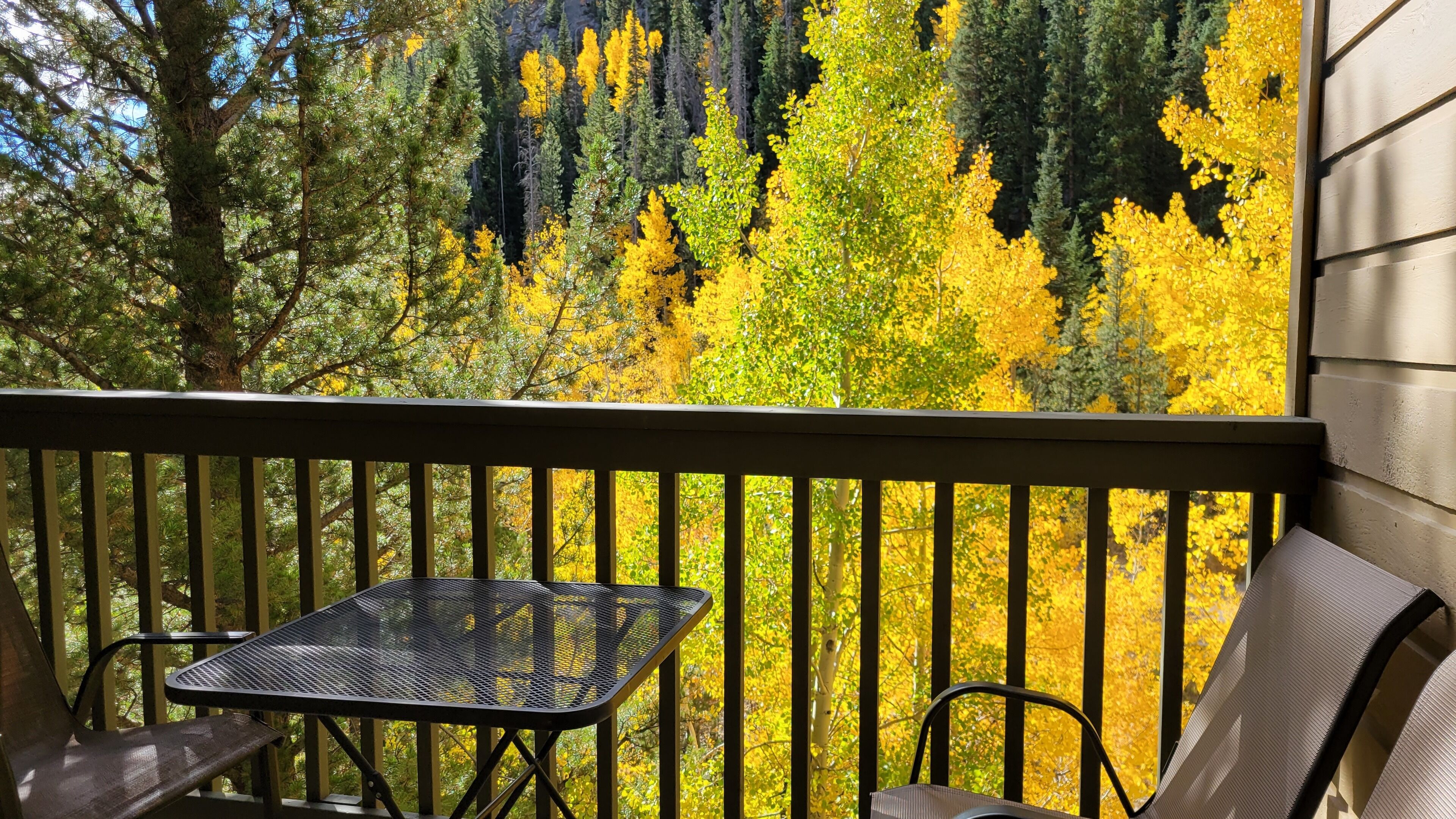 Balcony view onto bike path