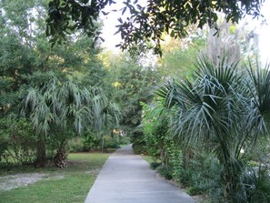 المنطقة المحيطة بالمنشأة