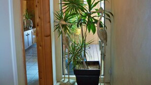 A hallway with a wooden door, a potted plant, and a glimpse of a kitchen area. - Beautiful Oceanfront Home, Gorgeous Views, Deck and Patio! Best Value! (Encinitas)