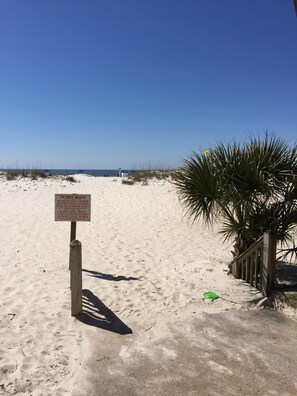 On the beach