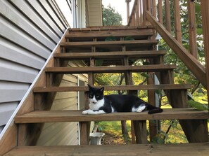 المنطقة المحيطة بالمنشأة