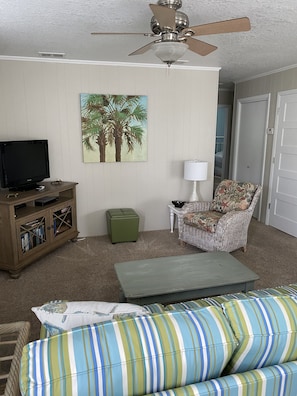 TV, DVD player, books, video library