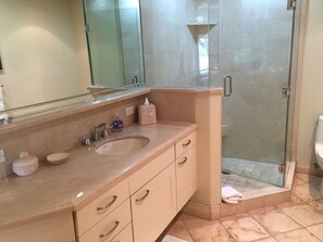 Combined shower/tub, hair dryer, towels