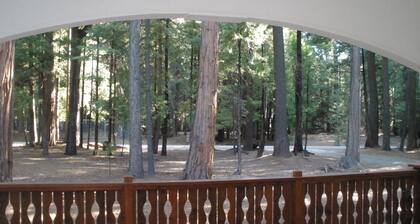Beautiful Custom Home near Lake McCumber & Mt Lassen