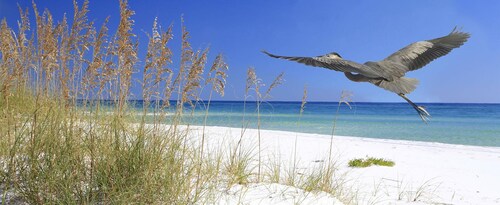 ON BEACH- 20 STEPS,  3rd Floor,  BEST view,  Reasonable, Choice  Condo in Resort