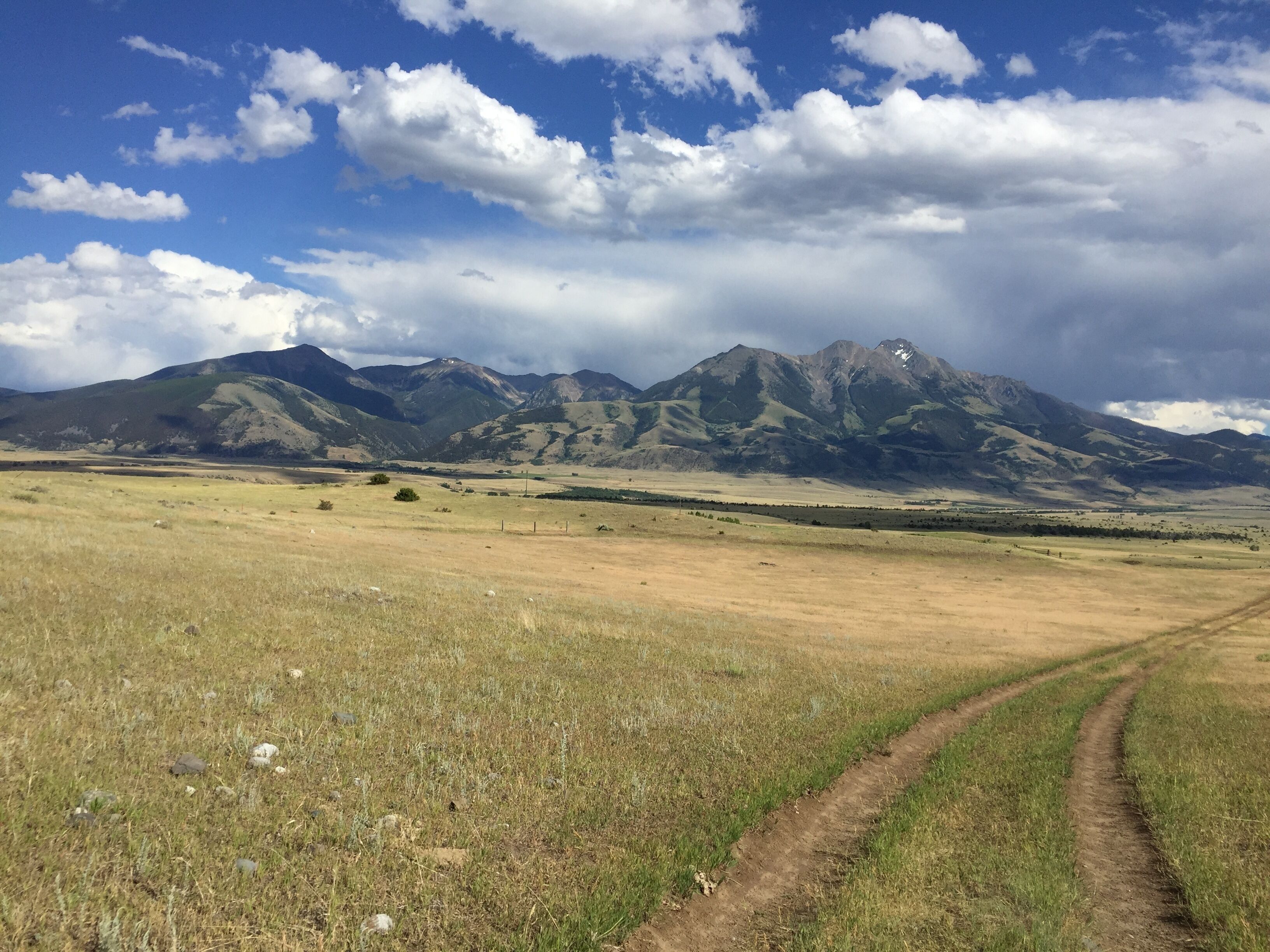 A wide, open field with a dirt path leading towards a mountain range under a partly cloudy sky.