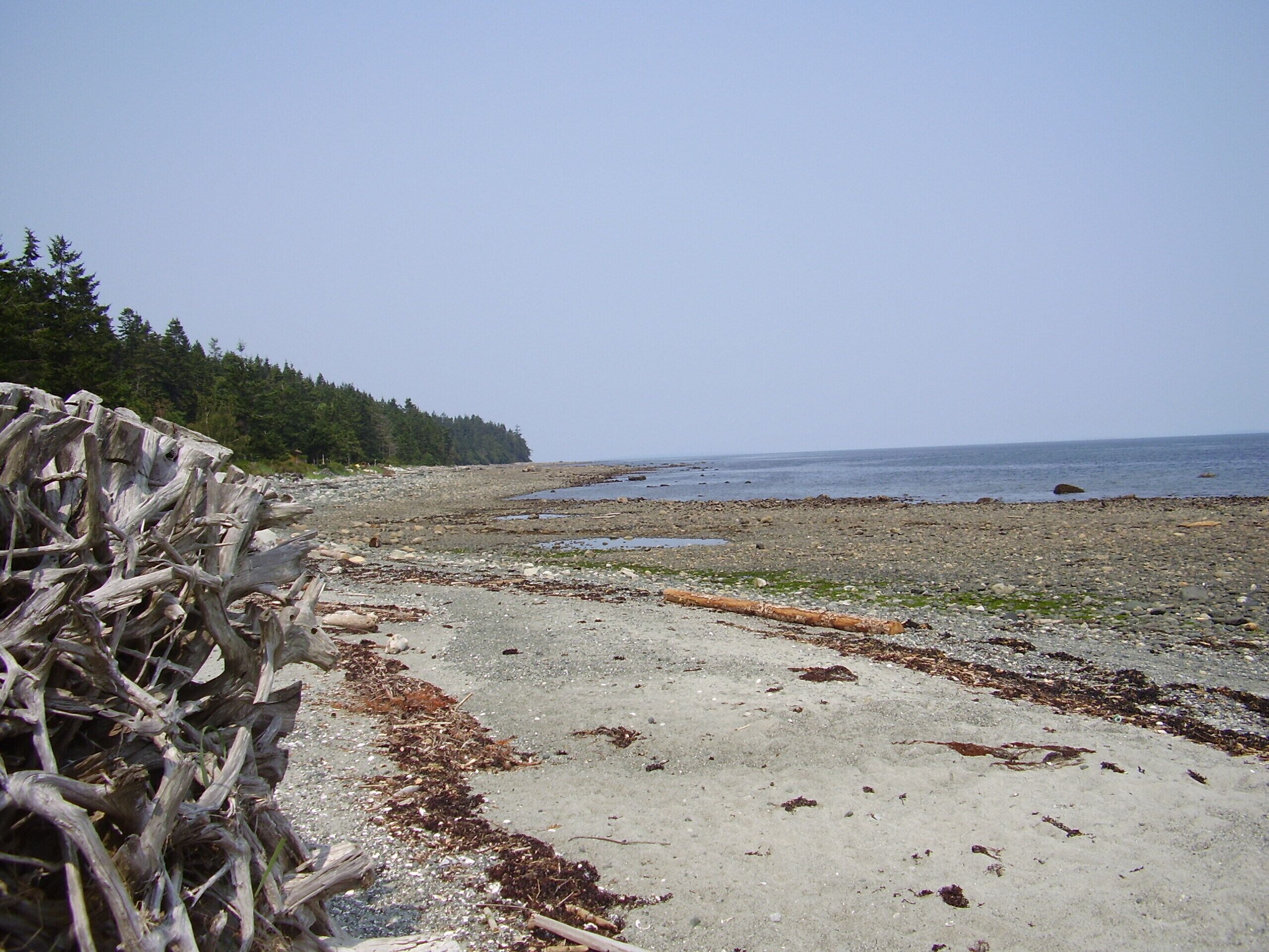 Pilgrims Seaside Cabin