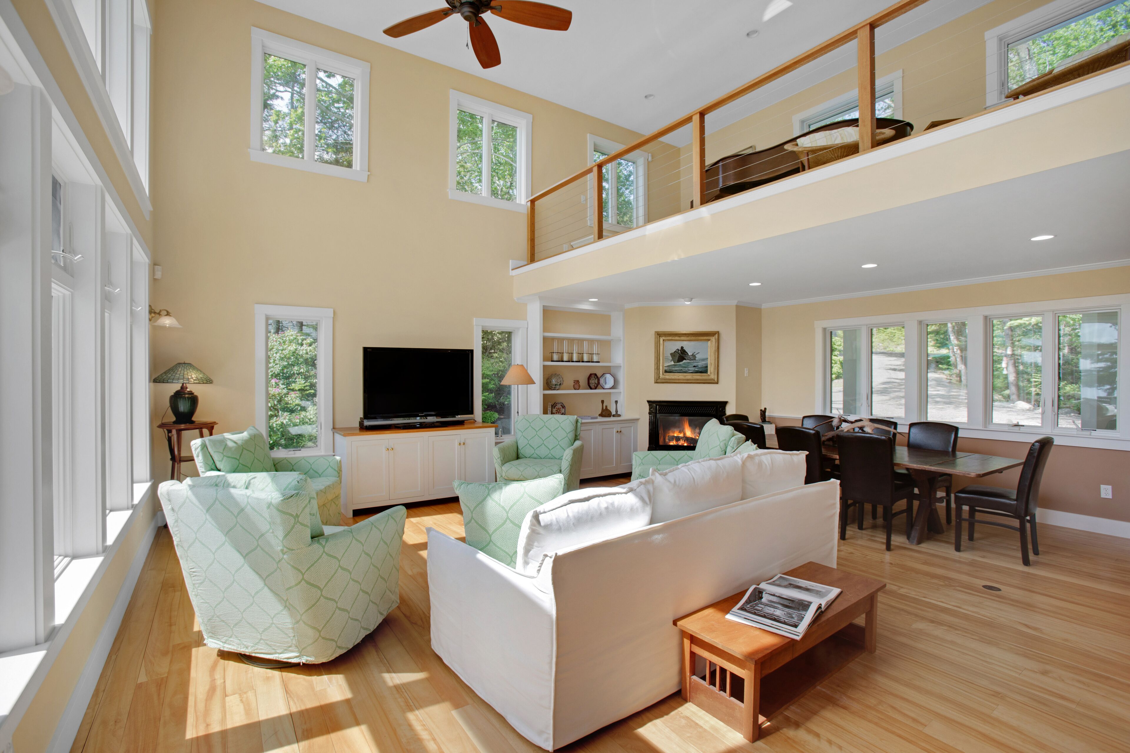 TV connectée, cheminée, lecteur de DVD, livres