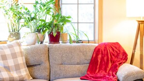 Ein gemütliches Wohnzimmer mit einer Couch, einem Couchtisch mit Zeitschriften und mehreren Blumentöpfen.