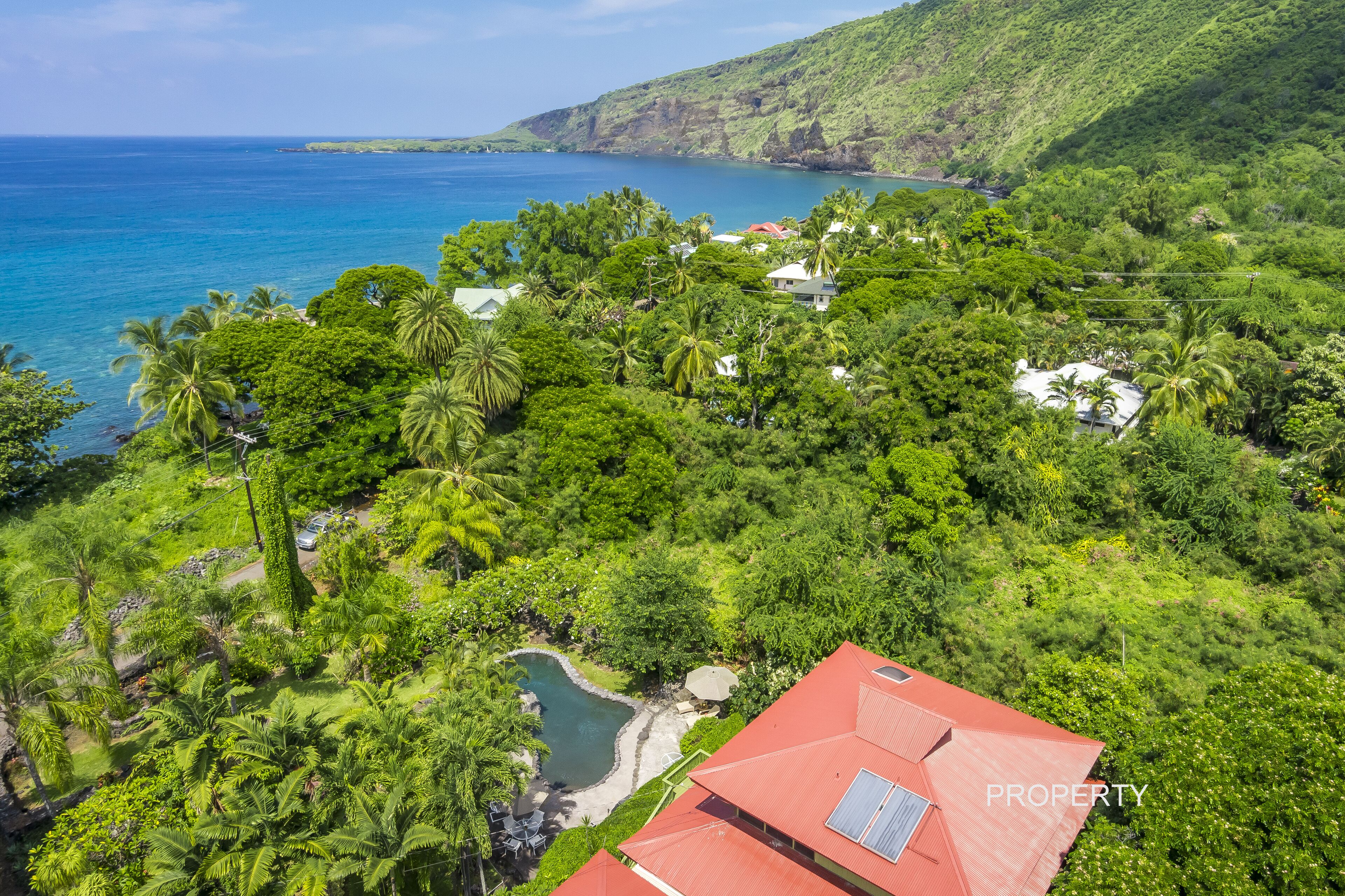 Beautiful Kealakekua Bay Home With Private Pool & Tropical Garden