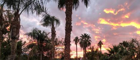 Udendørs pool, opvarmet pool