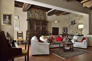 TV, fireplace, video games, DVD player