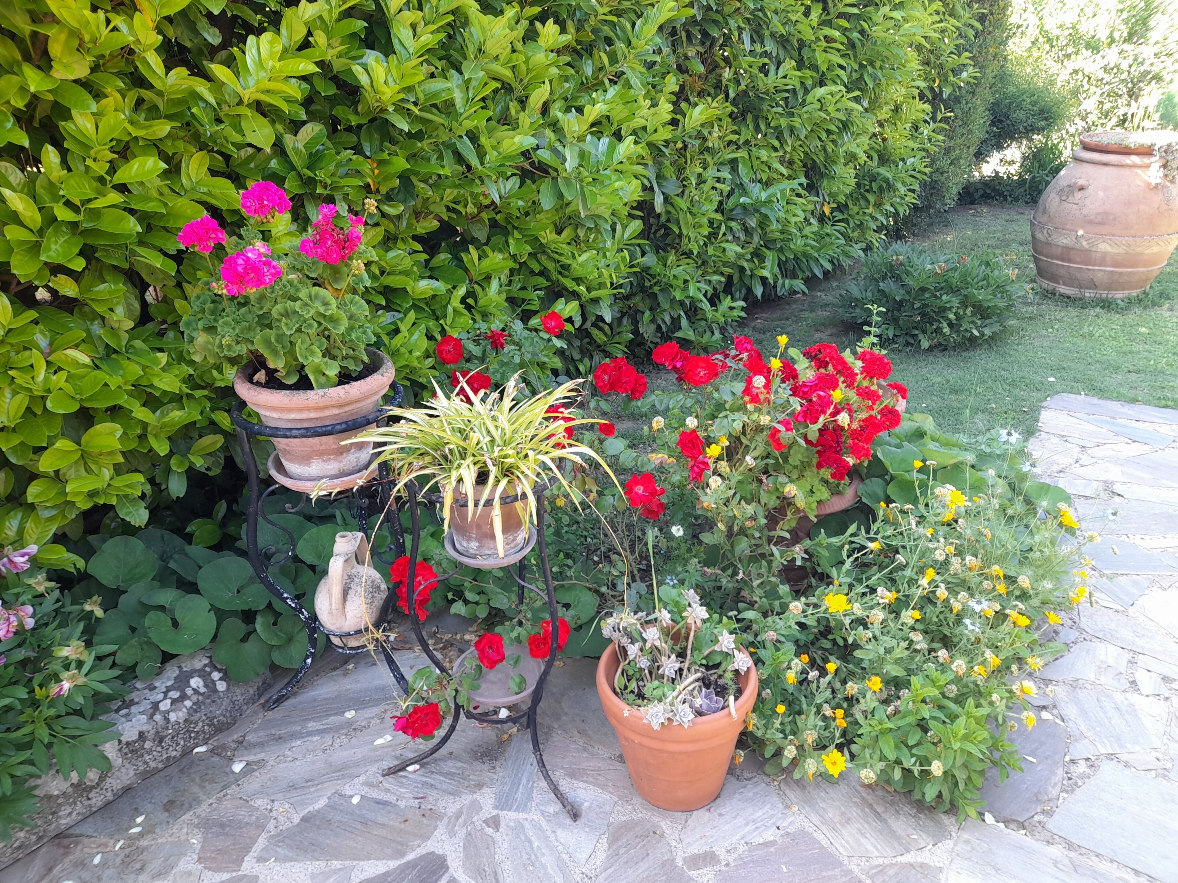 Jardines del alojamiento