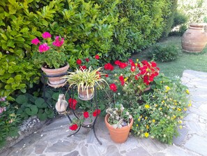 Áreas de la propiedad