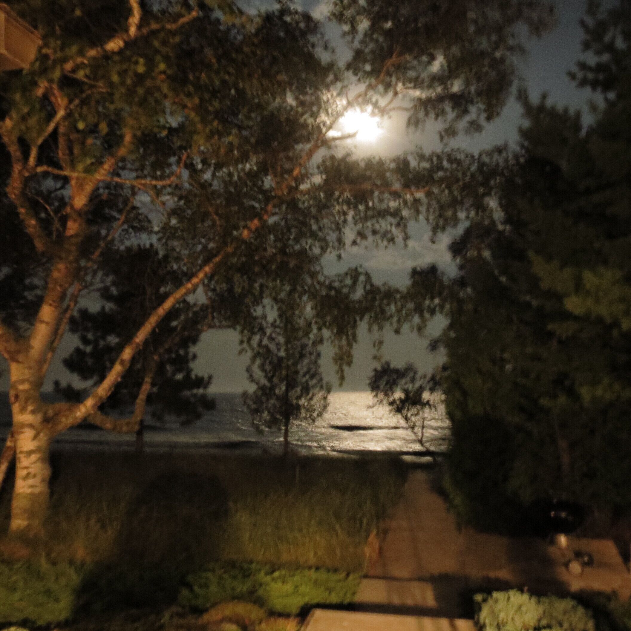 All-Season home, 200 ft. of beachfront, spectacular views of Lily Bay