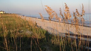 Une plage avec de hautes herbes au premier plan, une rive sablonneuse et quelques personnes au loin.
