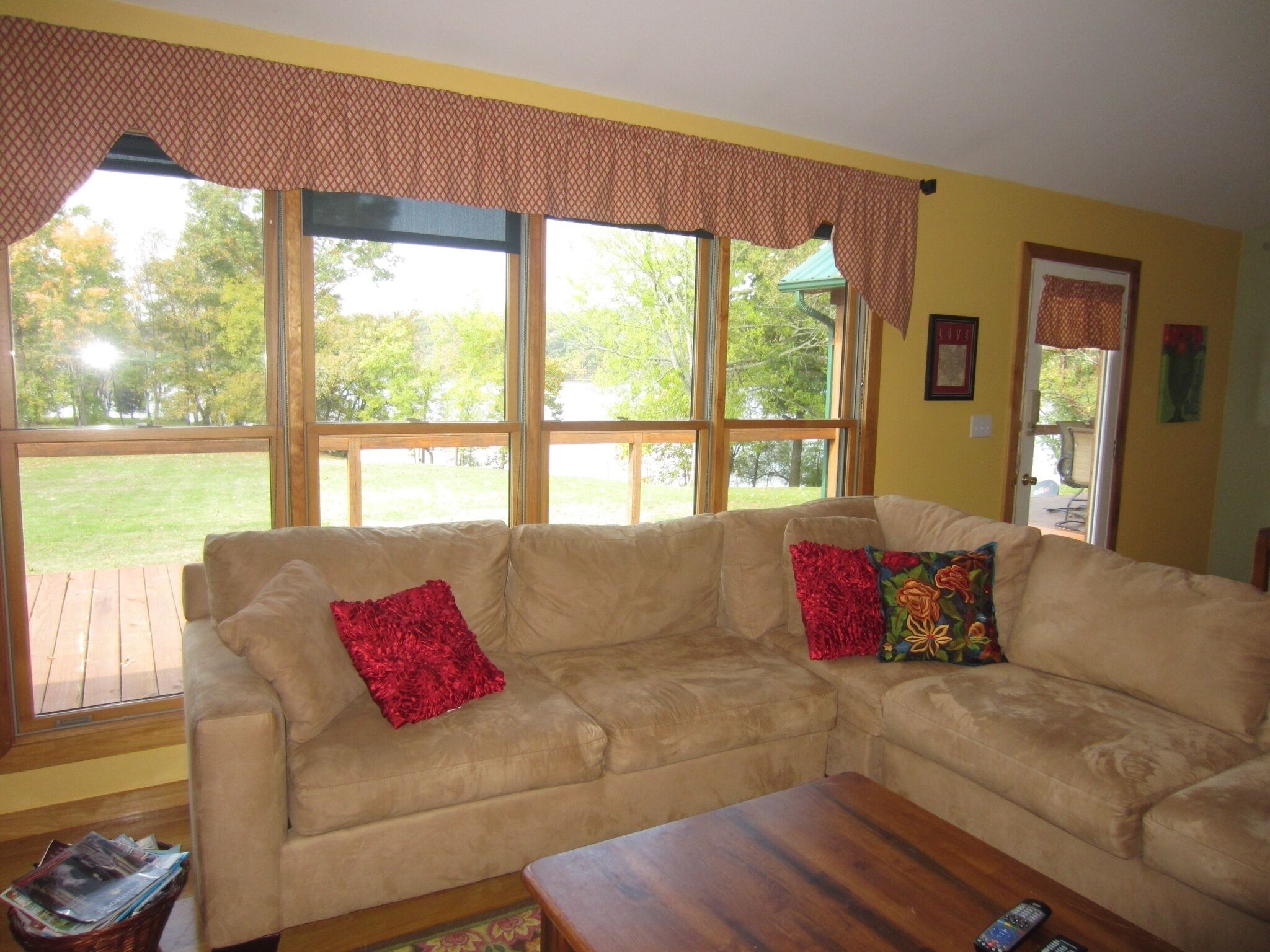 Smart TV, chimenea, reproductor de DVD y libros 