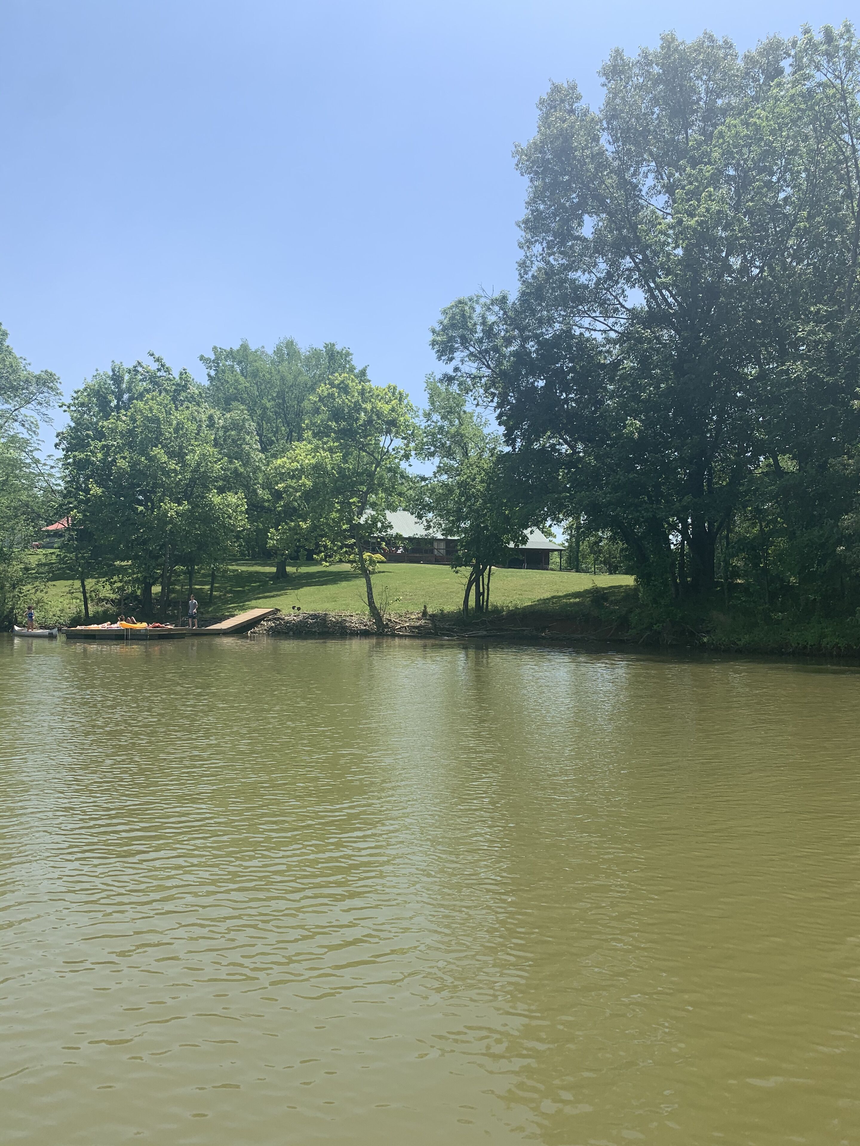 A calm lake with trees and a grassy area.