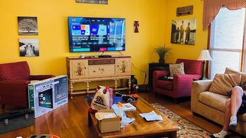 Smart TV, chimenea, reproductor de DVD y libros