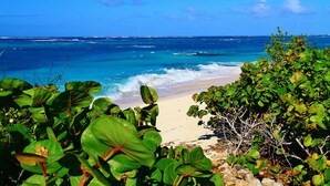 Une plage aux eaux d’un bleu limpide, bordée d’un rivage sablonneux et d’une végétation luxuriante.
