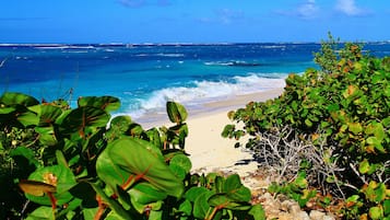 Playa en los alrededores