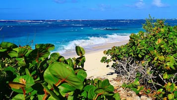 Una spiaggia nelle vicinanze