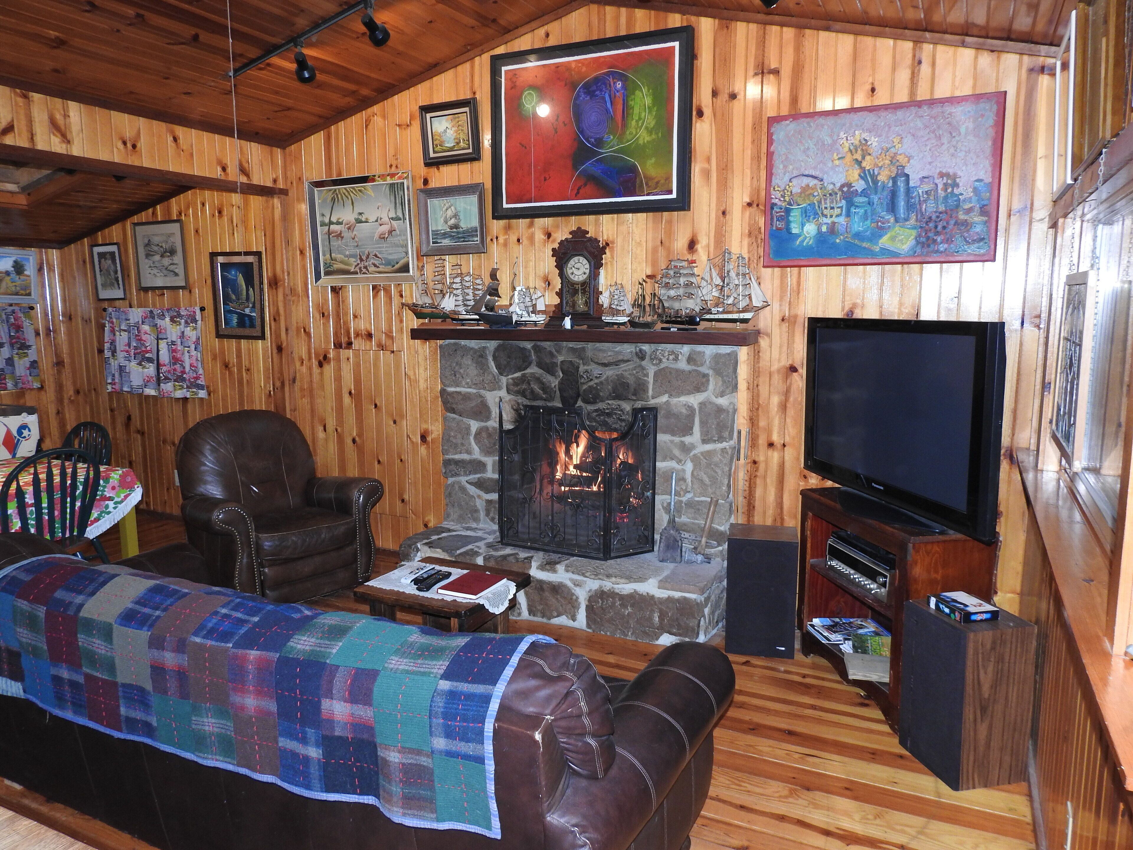 电视、壁炉、电子游戏、DVD 播放器