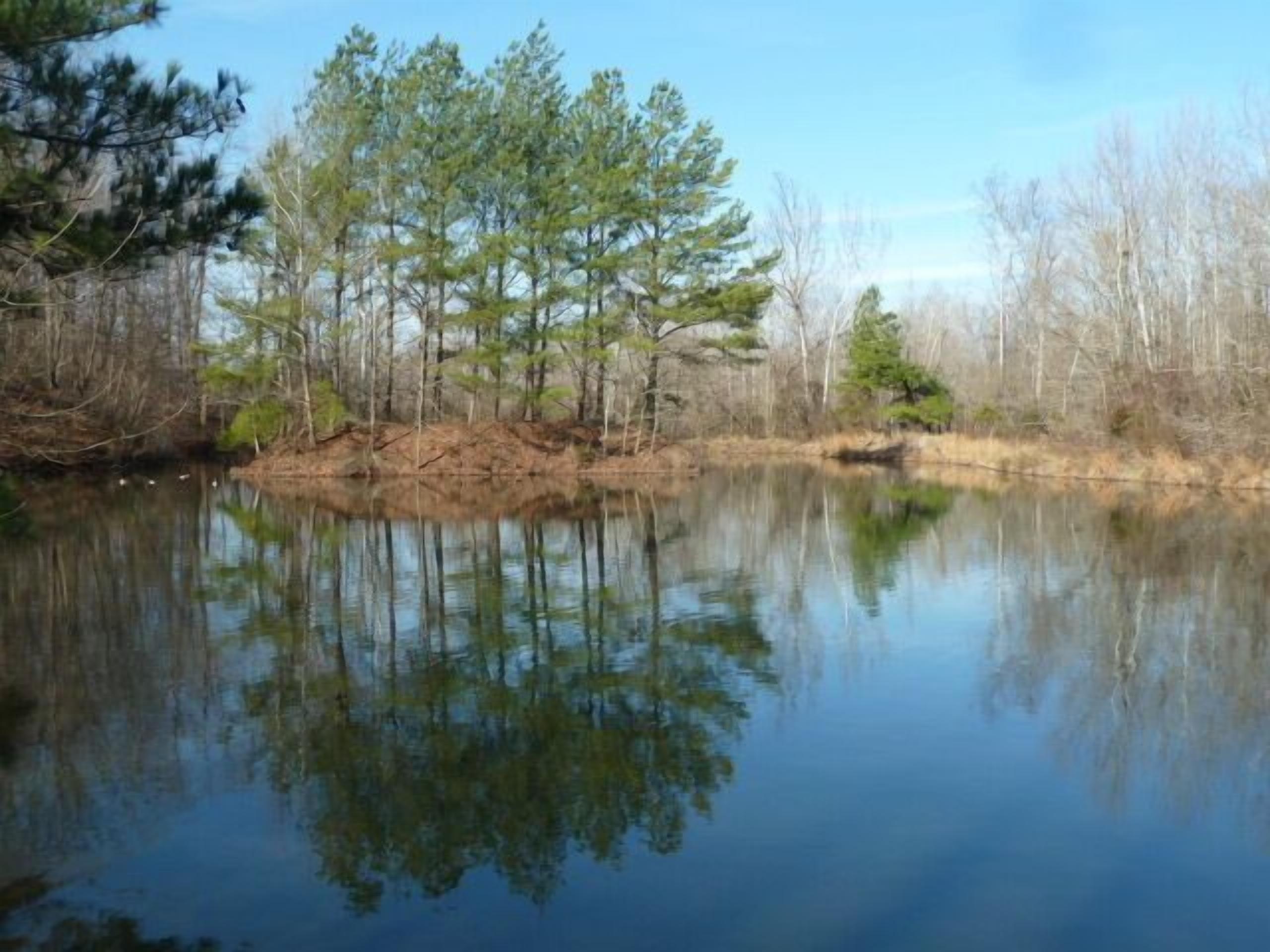 A calm lake surrounded by trees and a clear sky.
