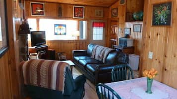 Tv, eldstad, tv-spel och dvd-spelare