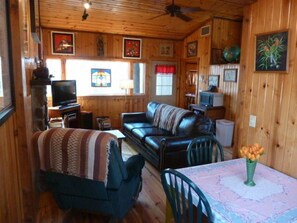 Télévision, cheminée, jeux vidéo, lecteur de DVD