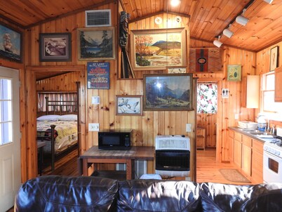 Pine Cabin on 30 Acres! 1 mi. from Carbondale, IL & SIUC Campus