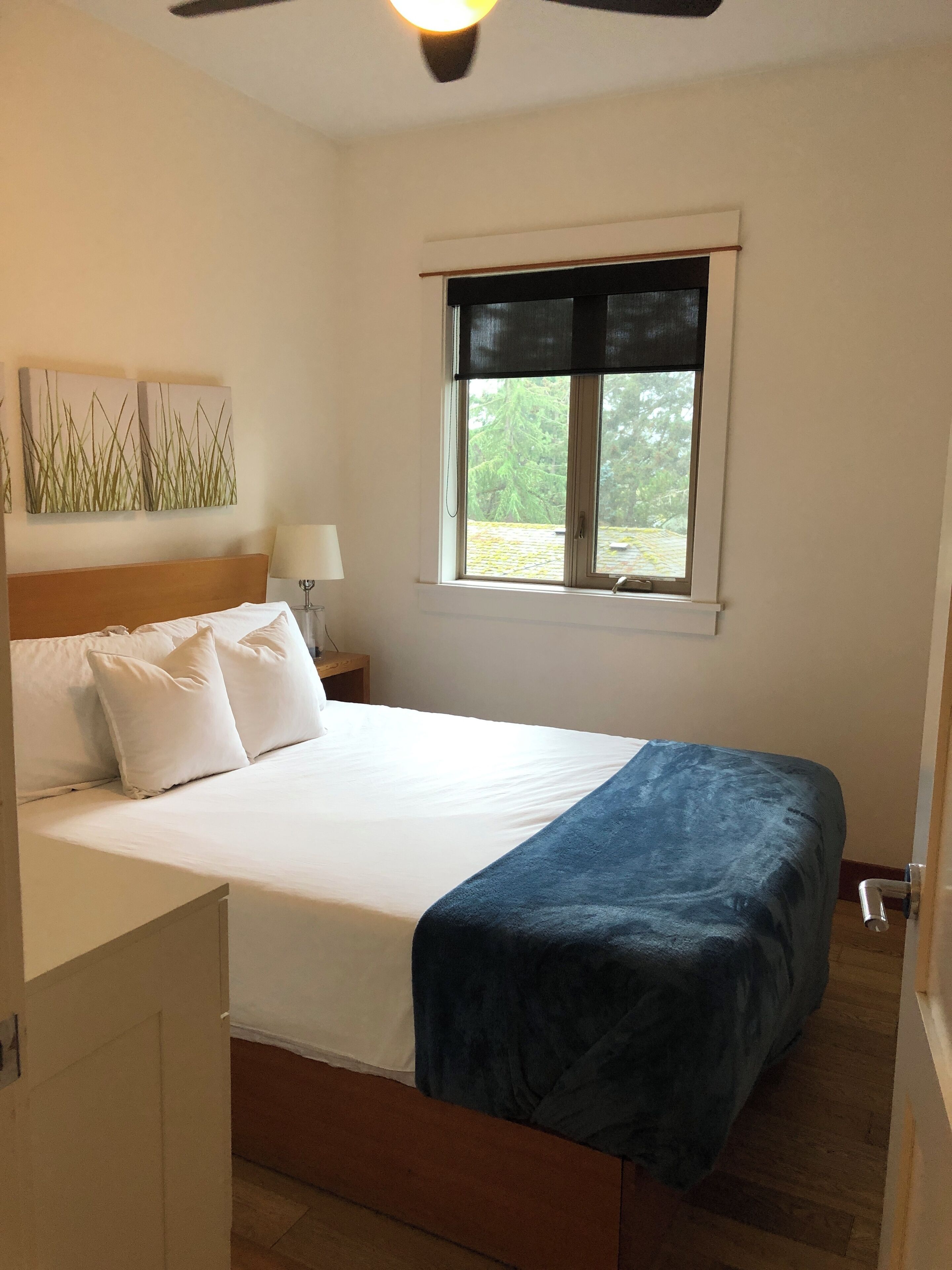 A bedroom with a bed, a nightstand, a lamp, a window with a view of trees, and a ceiling fan.