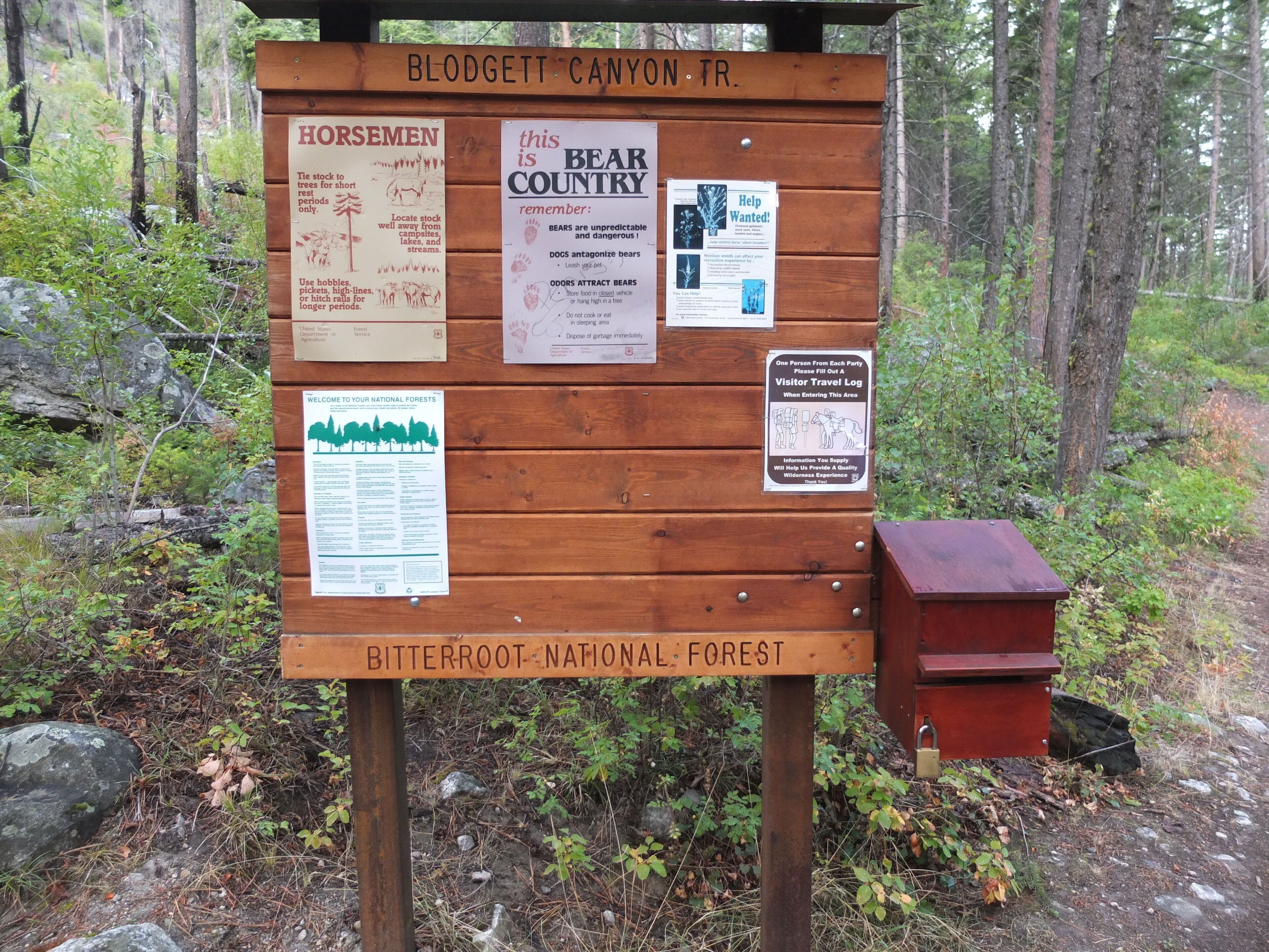 Un panneau en bois, orné de divers affiches d’information, dont une sur la présence d’ours et de cavaliers dans la région, le tout dans un cadre forestier.