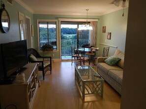 TV, DVD player, books - FIRE SALE 25% OFF August Hltn Head Resrt 2BR/2BA: GLF/MRSH/OCEN VIEW. BEST BEACH (Hilton Head Island)
