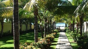 Un chemin bordé de palmiers et d’une végétation luxuriante, qui mène à un bâtiment situé au loin.
