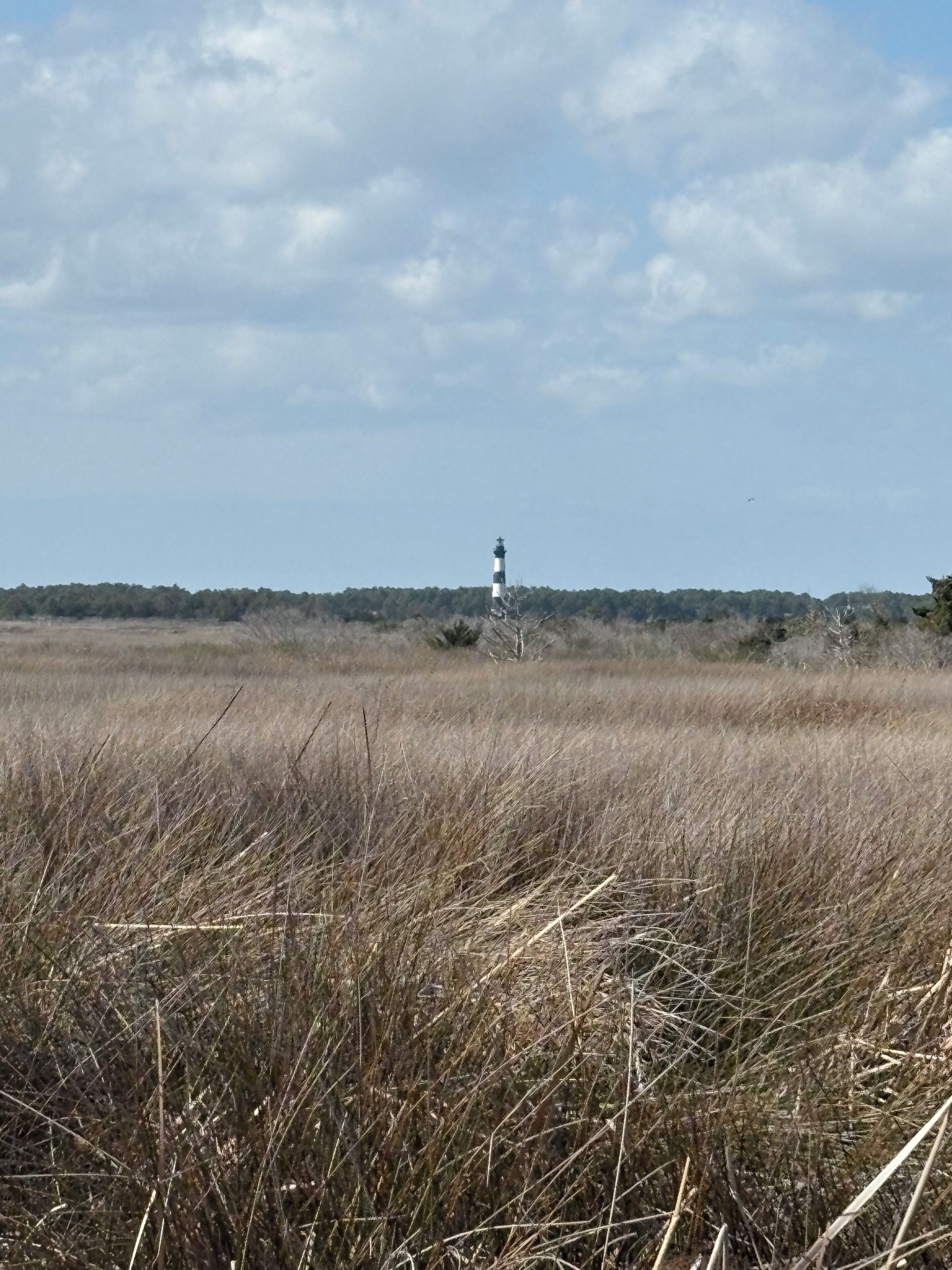 A lighthouse in a grassy field with a clear sky.