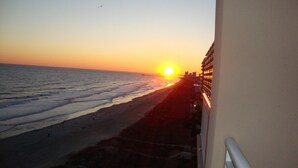A sunset view from a balcony overlooking a beach with waves and a distant bird.