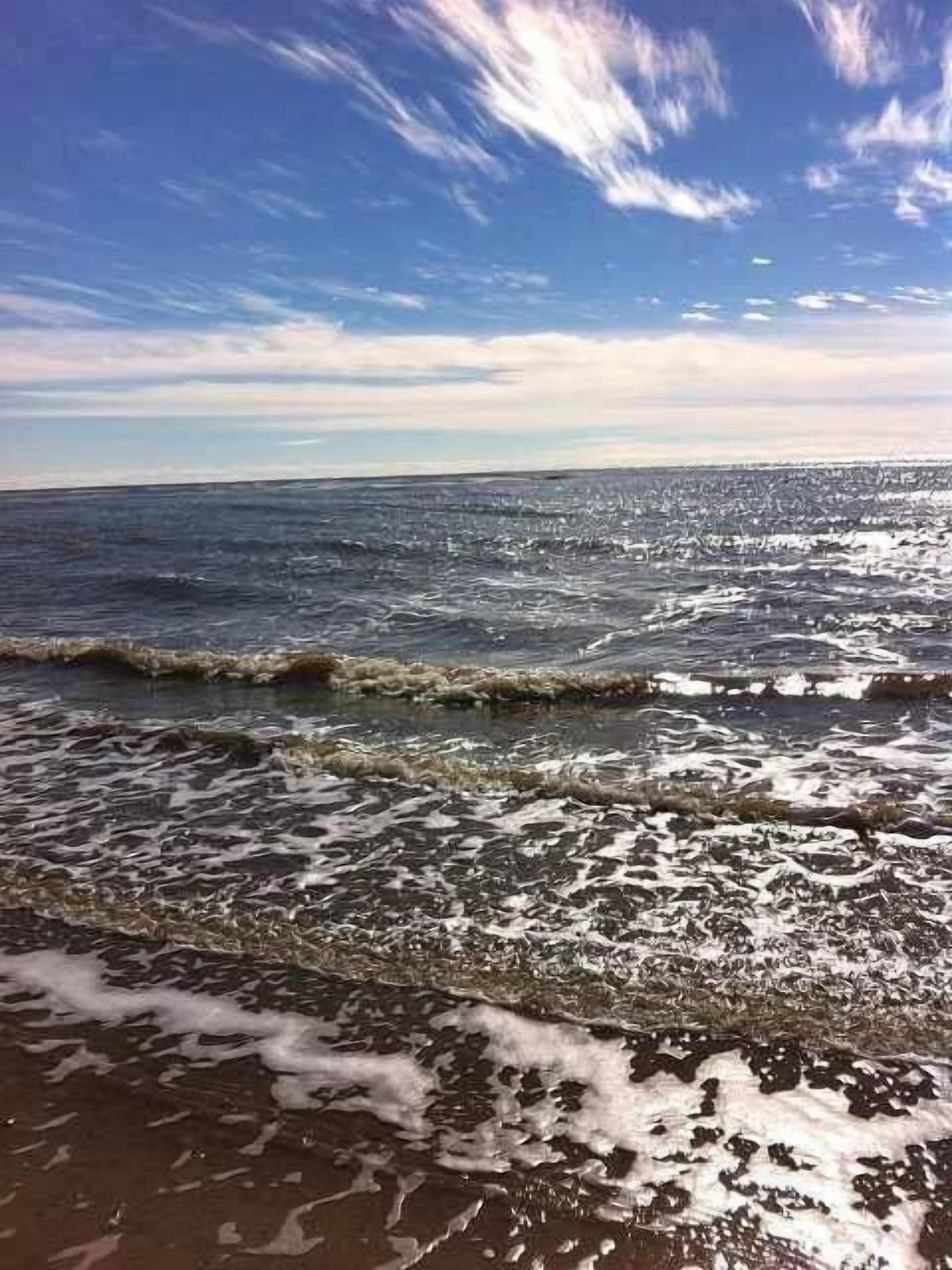 بالقرب من الشاطئ