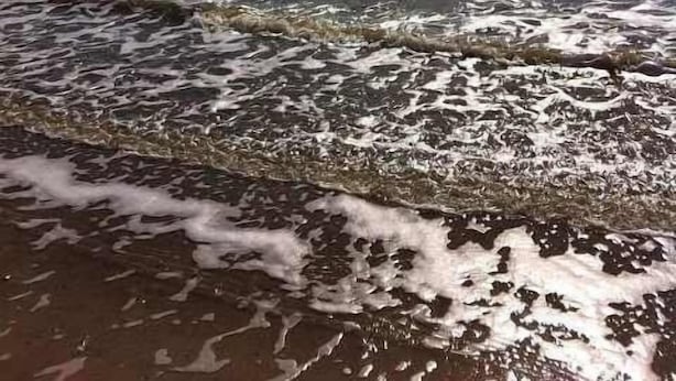 A beach with waves and a clear sky. - Southern Tide in Indian Pass 😊 (Indian Pass)