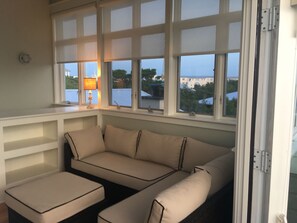 Smart TV, DVD player, video library, stereo