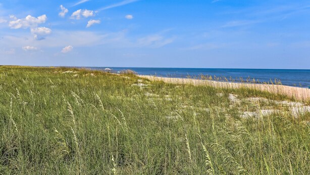 A coastal landscape with sand dunes and grassy vegetation.