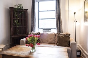 Televisio, DVD-soitin