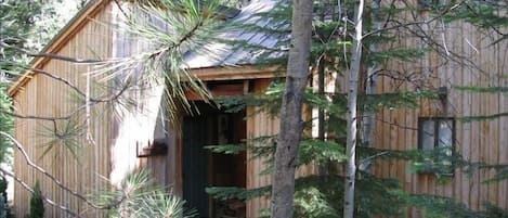 A rustic wooden cabin with a metal roof, surrounded by pine trees and a stone pathway.